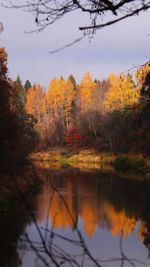 Scenic view of lake in forest during autumn