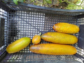 Close-up of yellow slices