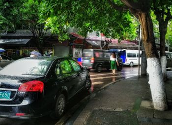 Rear view of woman walking on wet street during rain