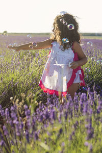 Little girl of 5 years old playing at making soap bubbles in a beautiful lavender field