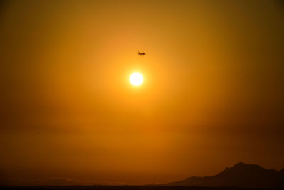 Silhouette bird flying against orange sky