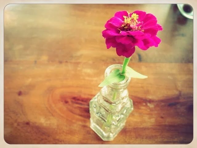 flower, freshness, fragility, petal, vase, table, indoors, water, close-up, flower head, glass - material, pink color, focus on foreground, transparent, beauty in nature, still life, drop, nature, drinking glass, rose - flower