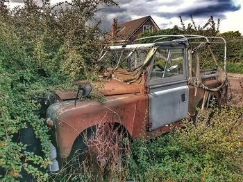 Abandoned truck on plants