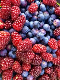 Blueberries and raspberries 