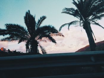 Low angle view of silhouette palm trees against sky during sunset