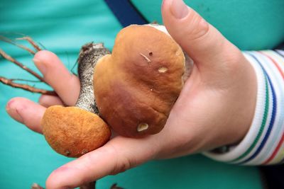 Close-up of hand holding mashrooms