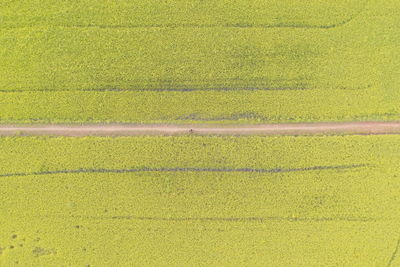 High angle view of dirt road amidst field