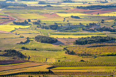 High angle view of agricultural landscape in la font de la figuera, valencian tuscany, spain