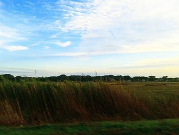 Scenic view of field against cloudy sky