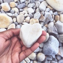 Close-up of a hand holding pebble