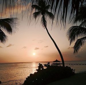 Scenic view of sea at sunset