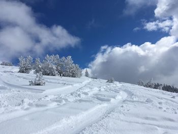 Snow covered field against sky