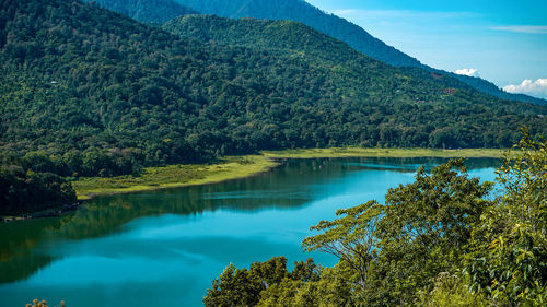 Scenic view of lake by trees against sky