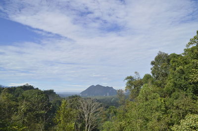 Scenic view of trees and mountains against sky