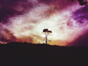 Silhouette of trees against cloudy sky