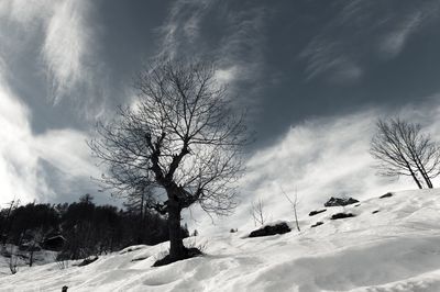 Bare trees on snow covered landscape against sky