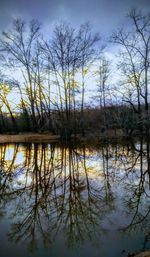 Reflection of bare trees in lake against sky