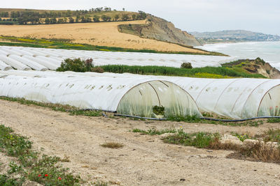 Scenic view of agricultural field against sky