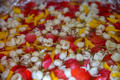 Full frame shot of multi colored candies