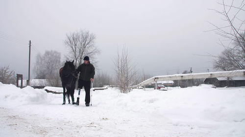 Snowy winter, disabled man jockey leads, holding with reins a black horse on the way.