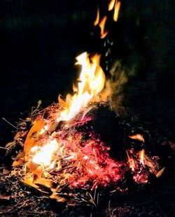 Close-up of bonfire at night