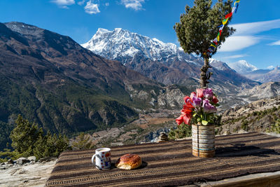 Flower trees in mountains against sky