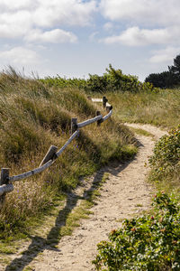 View of empty road along plants