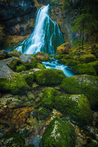 Scenic view of waterfall in forest