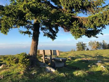 Trees on field against sky
