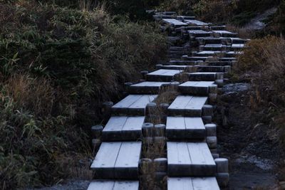 View of plants on grassy field