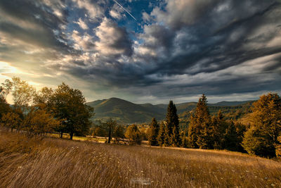 Scenic view of field against sky