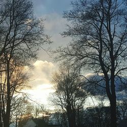 Low angle view of silhouette trees against sky