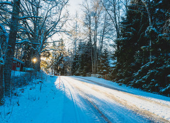 Road amidst bare trees during winter