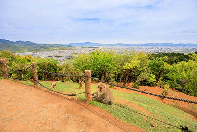 Scenic view of landscape against sky