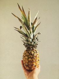 Close-up of hand holding fruit against white background