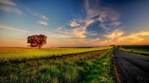 Street amidst grassy field against sky