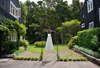 Trees and plants in park