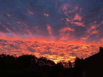 Low angle view of silhouette trees against orange sky