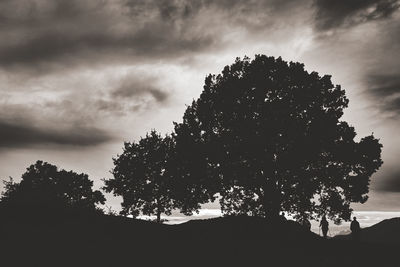 Silhouette tree against sky