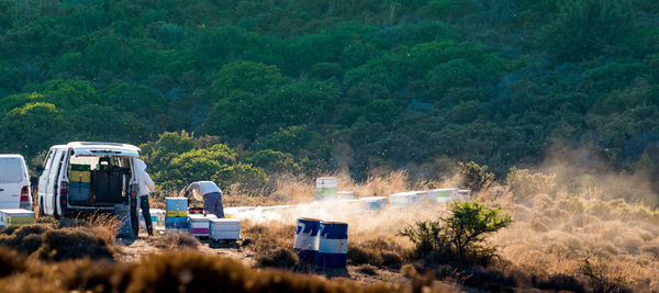 Road amidst trees in forest