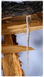 Close-up of snow against sky