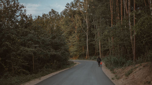 Rear view of man on country road