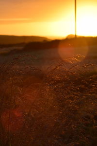 Sun shining over landscape