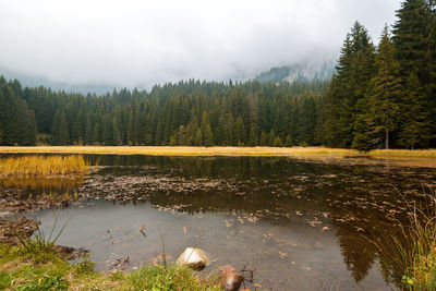 Smolyan lakes in bulgaria in autumn.