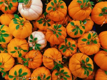 Full frame shot of pumpkins for sale