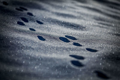 Full frame shot of pattern