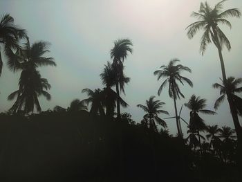 Low angle view of silhouette trees against sky