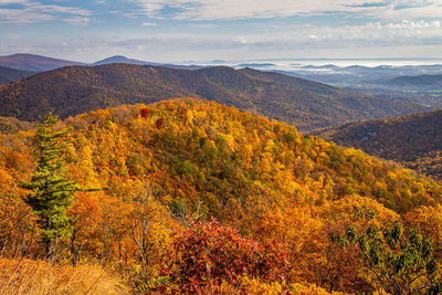 Scenic view of landscape against sky during autumn