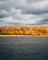 Scenic view of trees against sky during autumn
