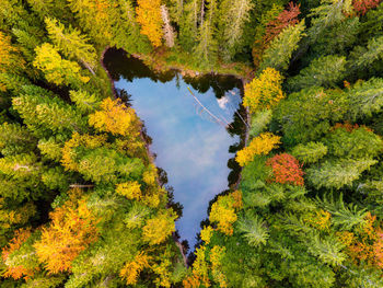 Aerial shot of the eibsee in bavaria, germany. heart shaped lake.